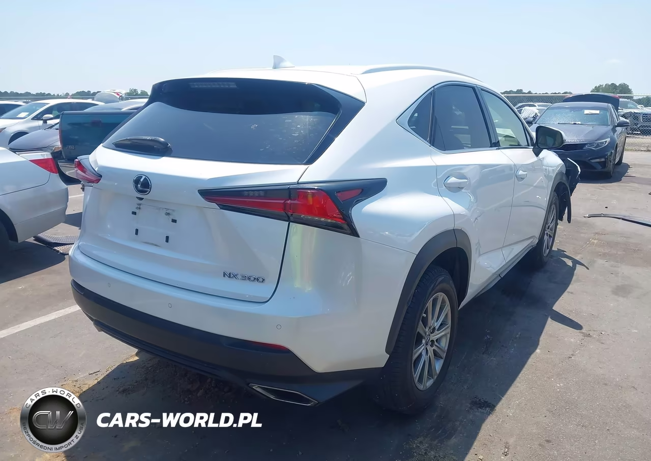 2020 Lexus Nx 300 VIN:JTJDARDZ1L5015834 - 4