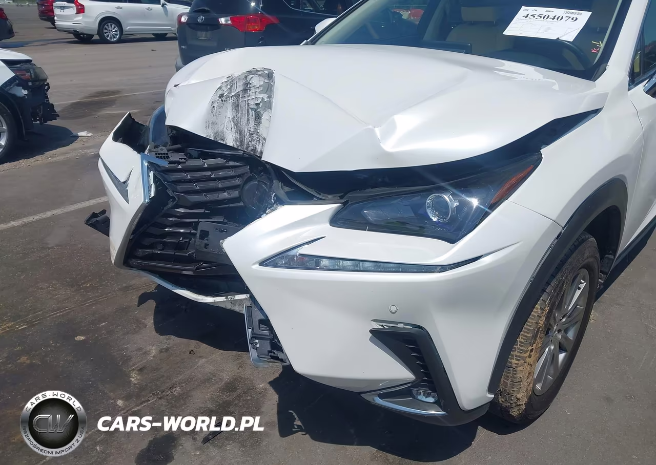 2020 Lexus Nx 300 VIN:JTJDARDZ1L5015834 - 6