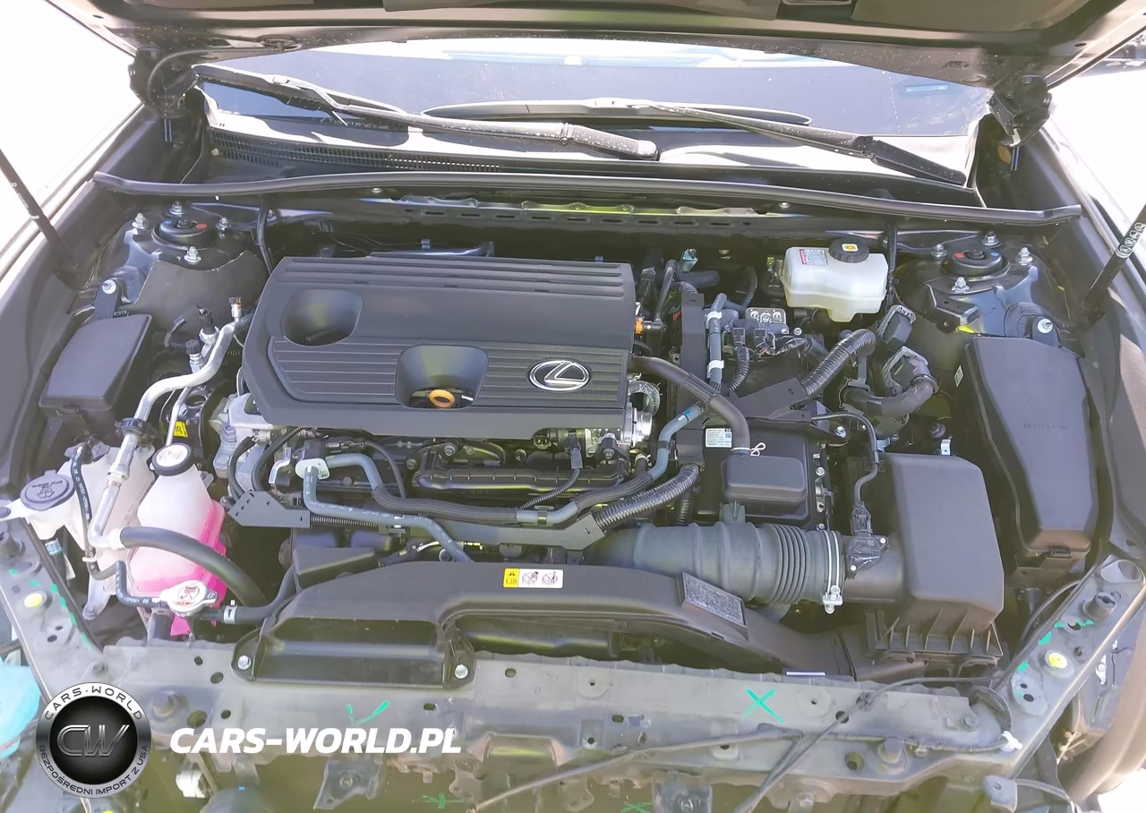 2022 Lexus Es 300H Luxury VIN:58AEA1C16NU026197 - 10