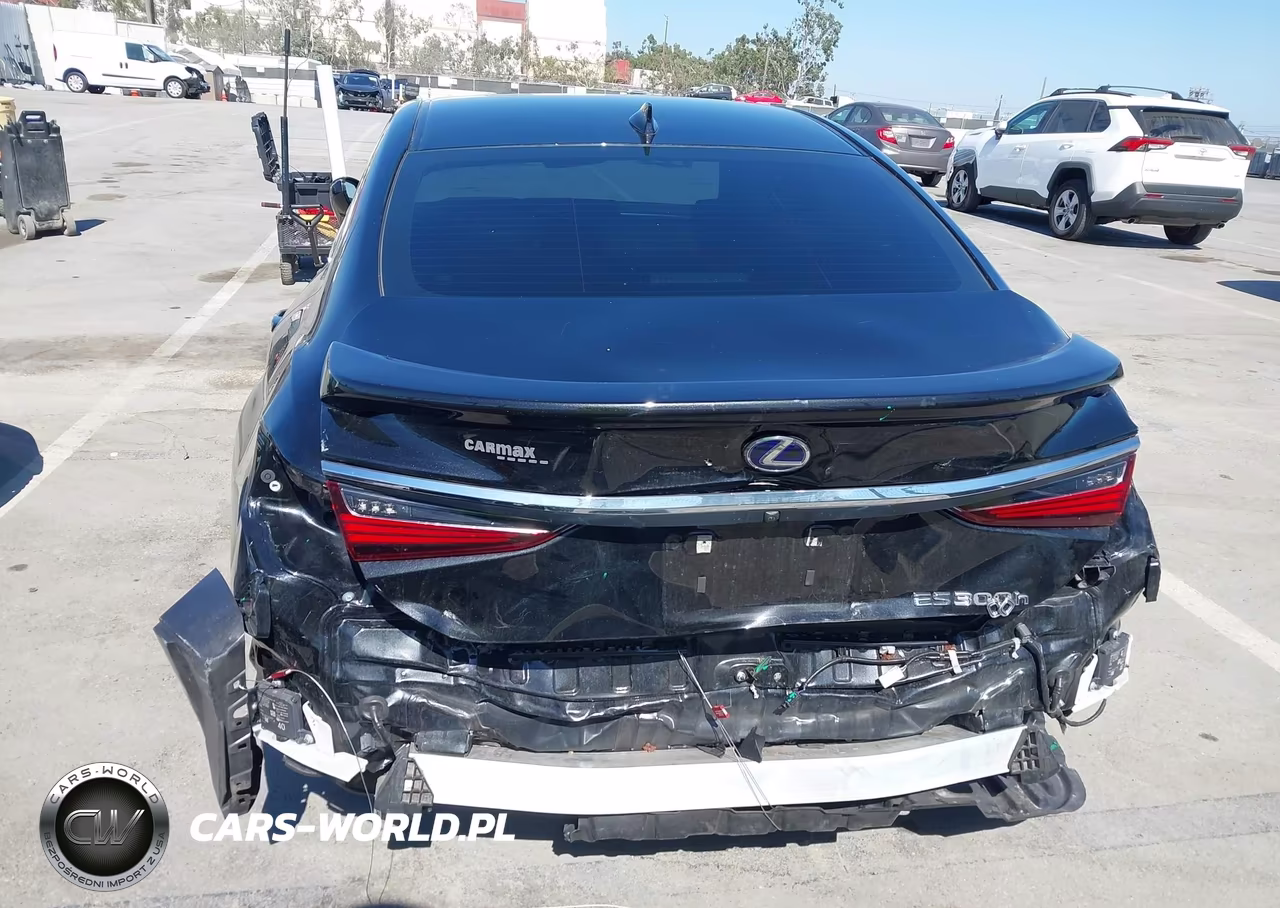 2022 Lexus Es 300H Luxury VIN:58AEA1C16NU026197 - 17