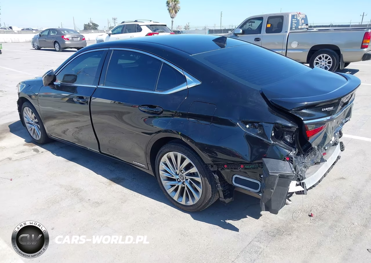 2022 Lexus Es 300H Luxury VIN:58AEA1C16NU026197 - 3