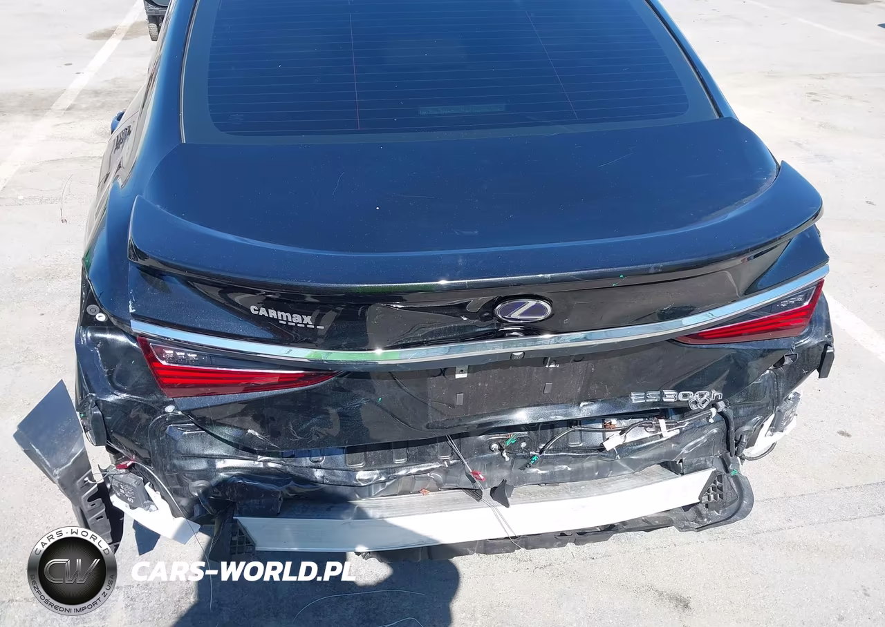 2022 Lexus Es 300H Luxury VIN:58AEA1C16NU026197 - 6