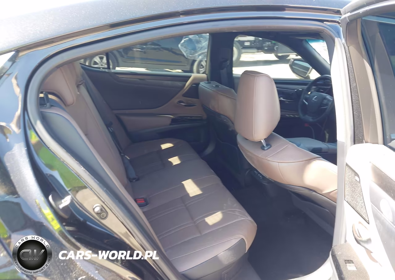 2022 Lexus Es 300H Luxury VIN:58AEA1C16NU026197 - 8
