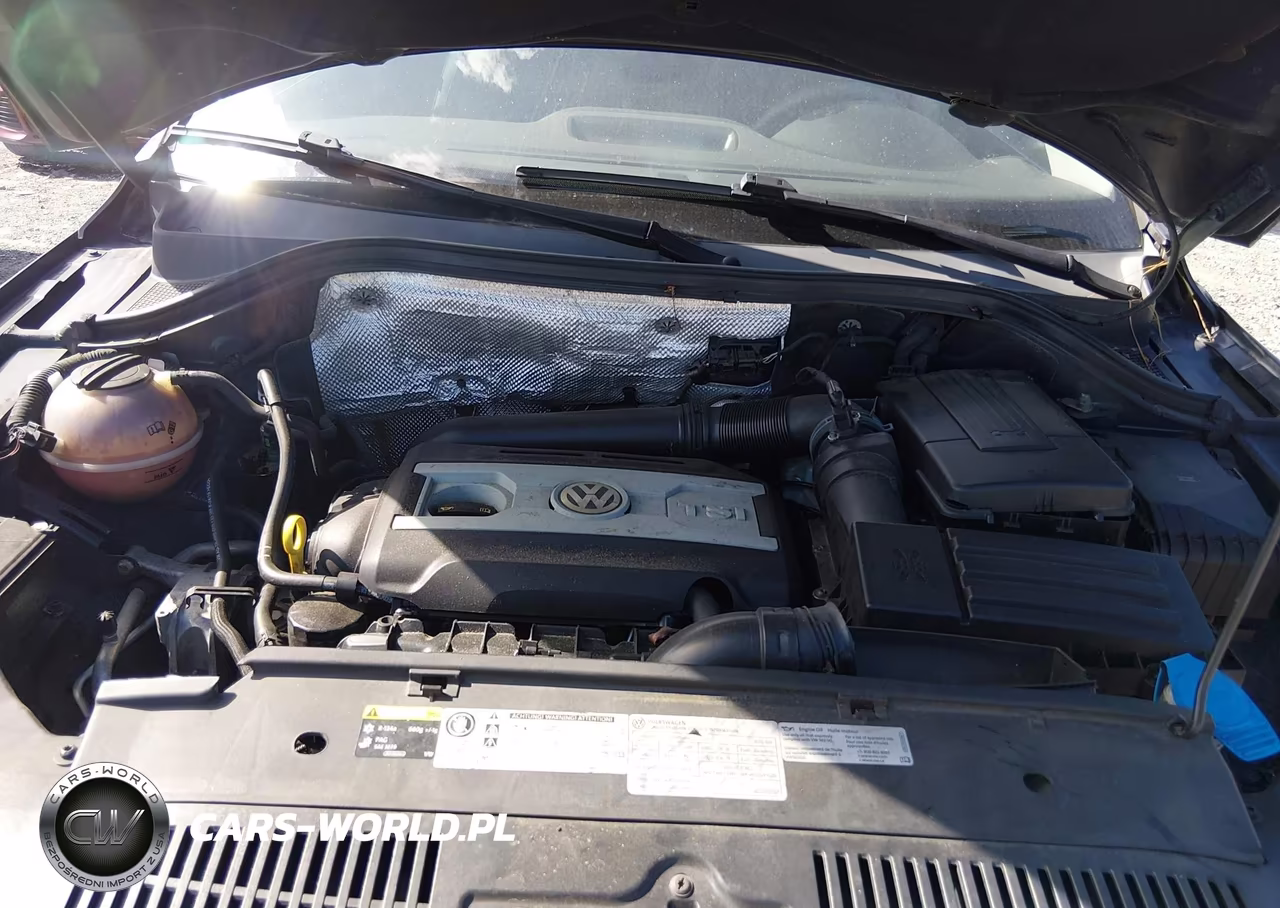 2016 Volkswagen Tiguan Se VIN:WVGAV7AX8GW517415 - 10