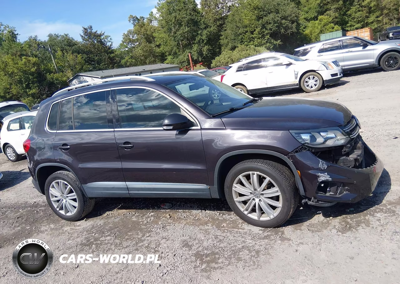 2016 Volkswagen Tiguan Se VIN:WVGAV7AX8GW517415 - 13