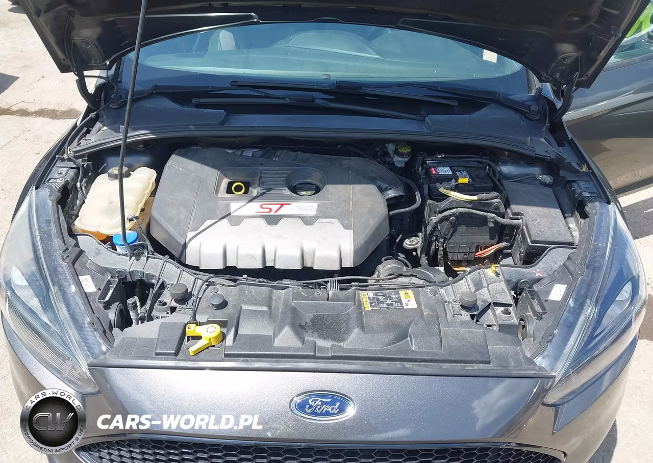 2017 Ford Focus St VIN:1FADP3L98HL277648 - 10