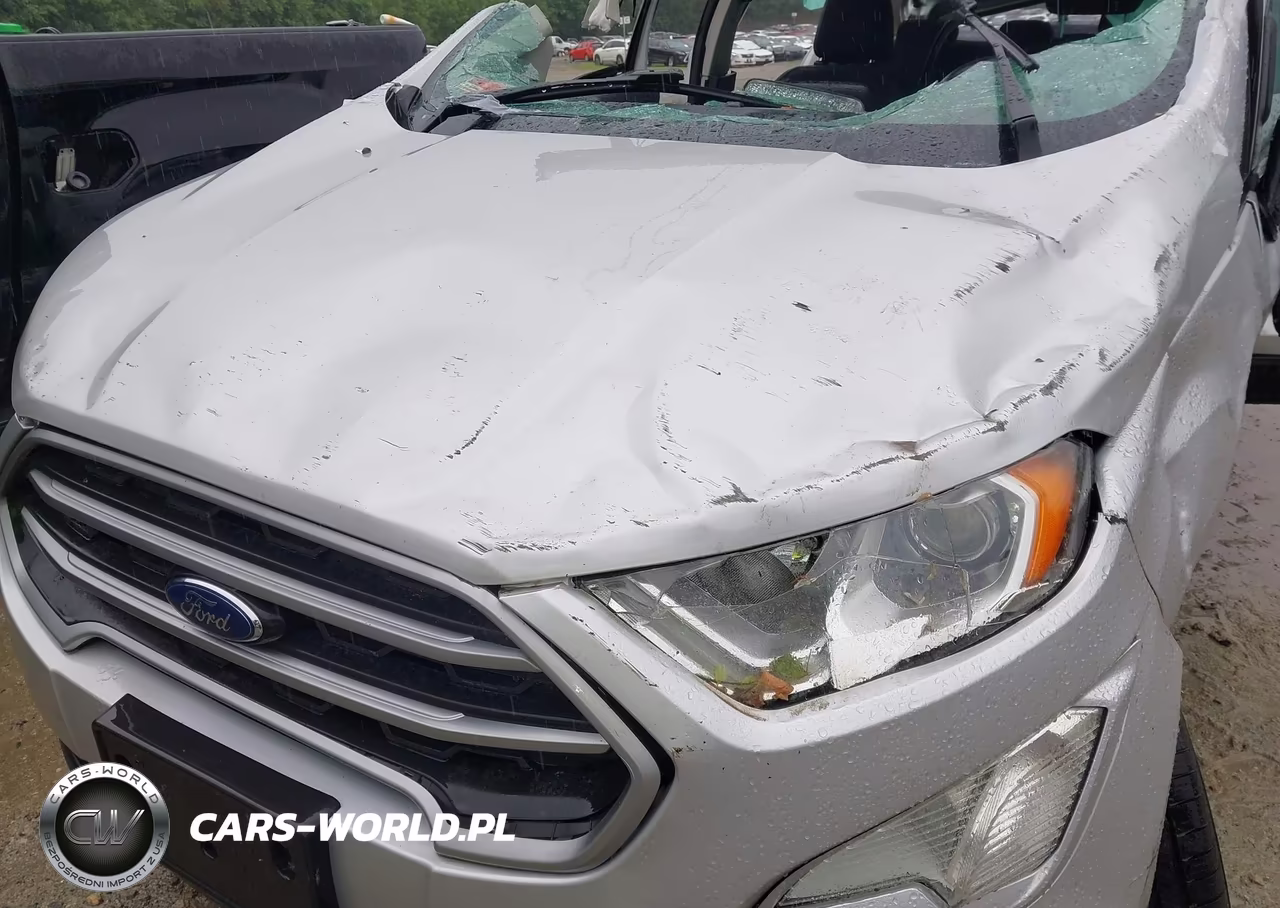 2018 Ford Ecosport Se VIN:MAJ6P1UL1JC206031 - 10