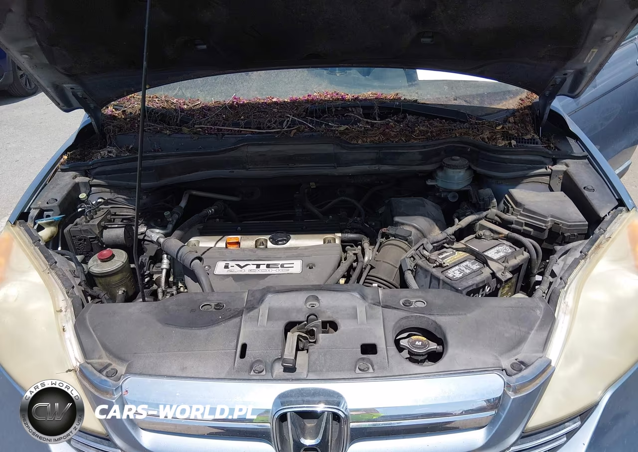 2007 Honda Cr-V Ex-L VIN:JHLRE38787C014932 - 10