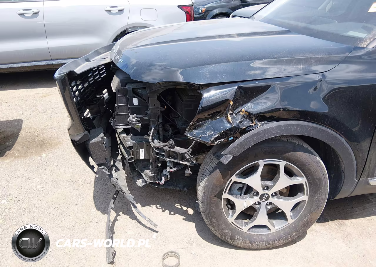 2021 Kia Telluride Ex VIN:5XYP34HCXMG125809 - 12