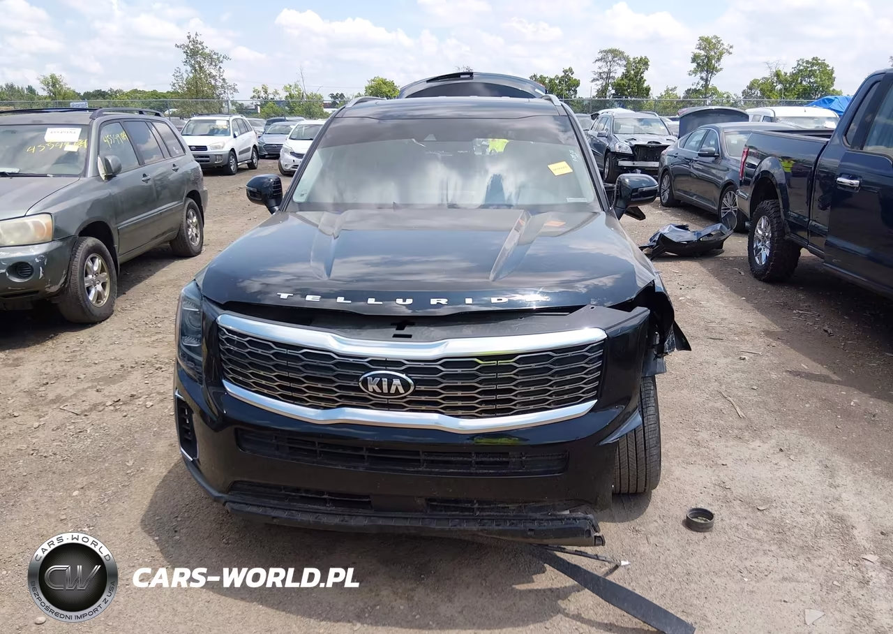 2021 Kia Telluride Ex VIN:5XYP34HCXMG125809 - 13