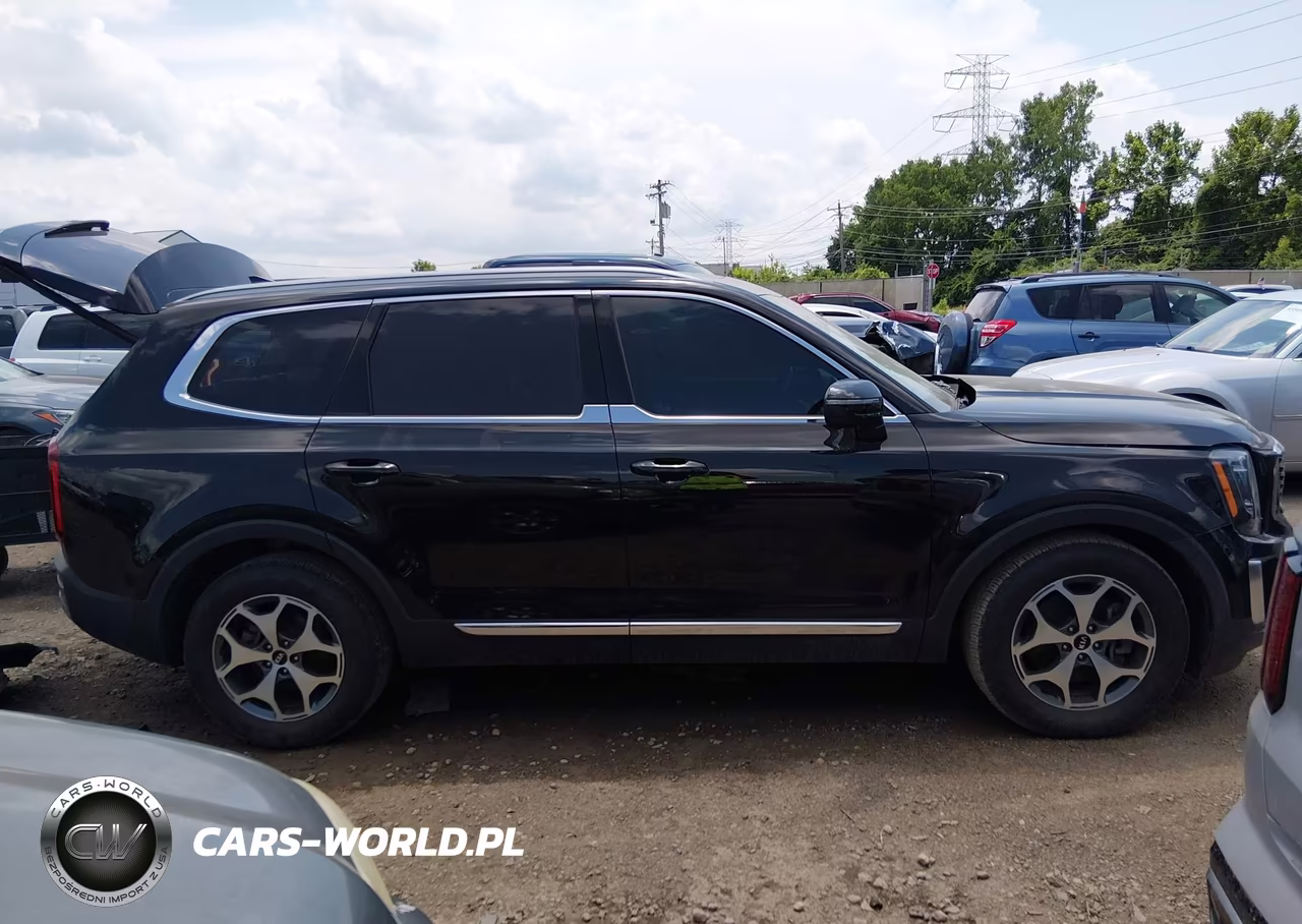 2021 Kia Telluride Ex VIN:5XYP34HCXMG125809 - 14