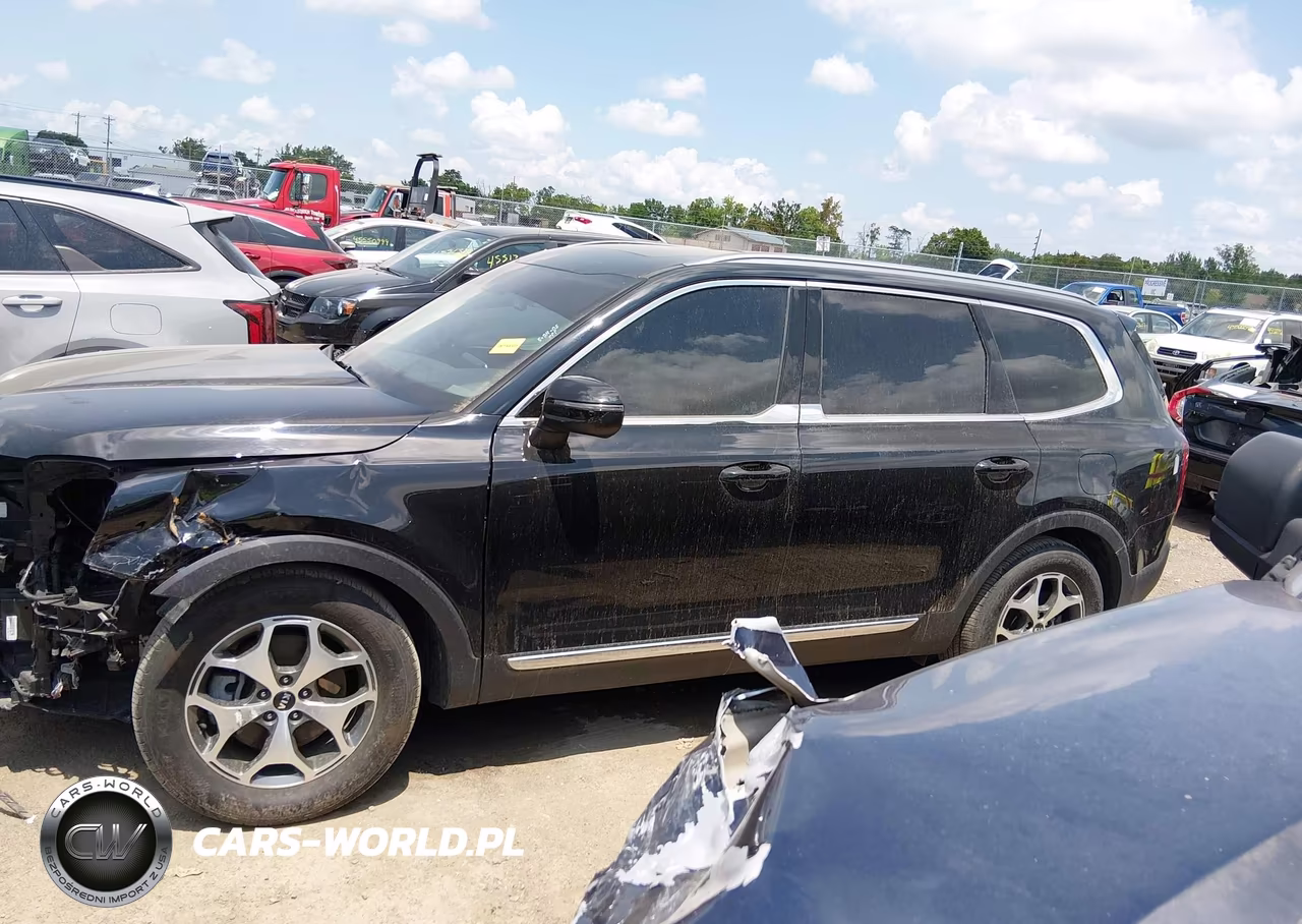 2021 Kia Telluride Ex VIN:5XYP34HCXMG125809 - 15
