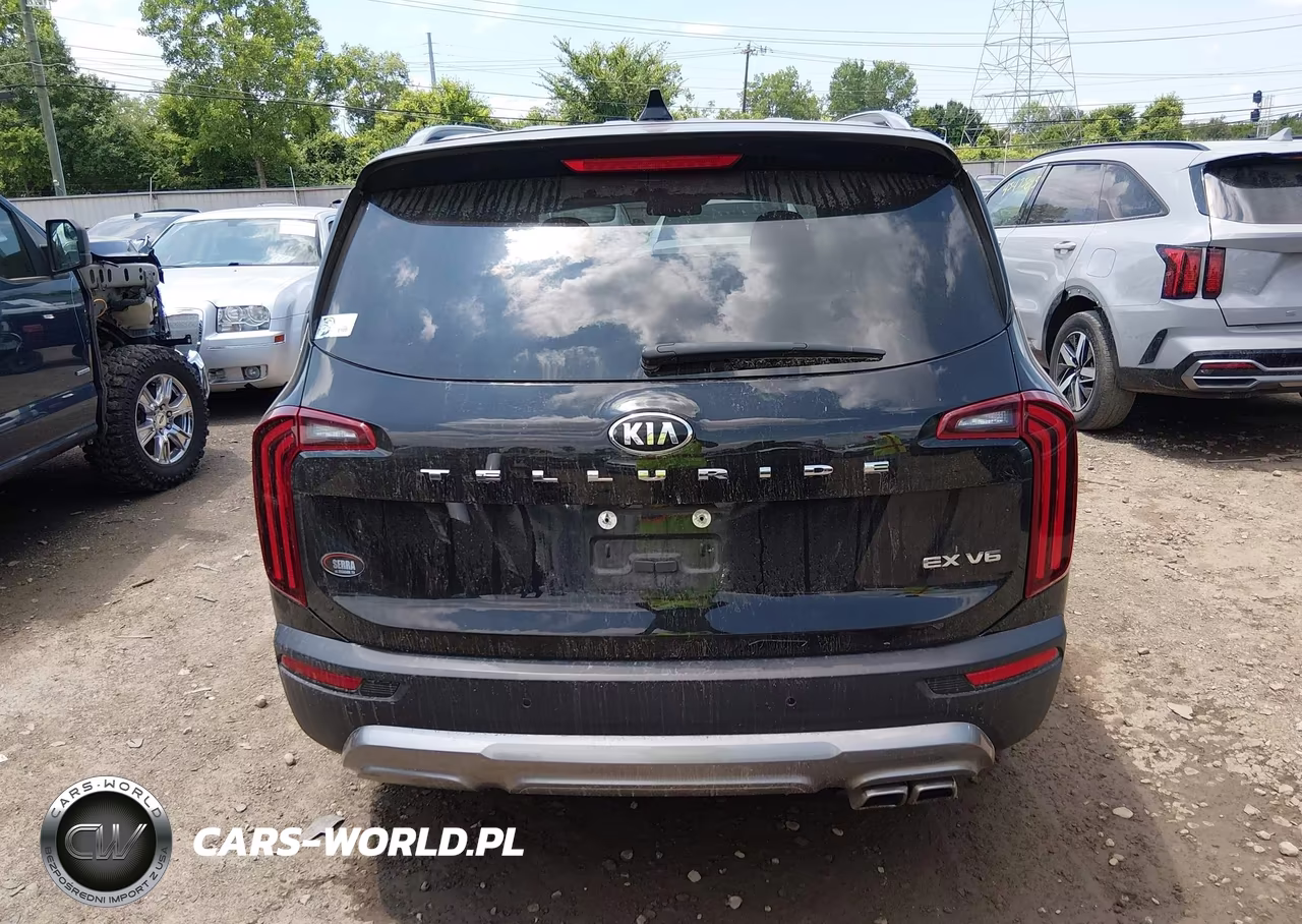 2021 Kia Telluride Ex VIN:5XYP34HCXMG125809 - 17