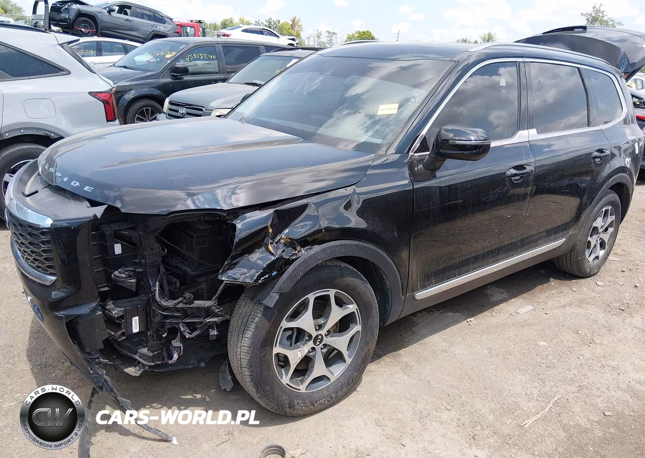 2021 Kia Telluride Ex VIN:5XYP34HCXMG125809 - 2