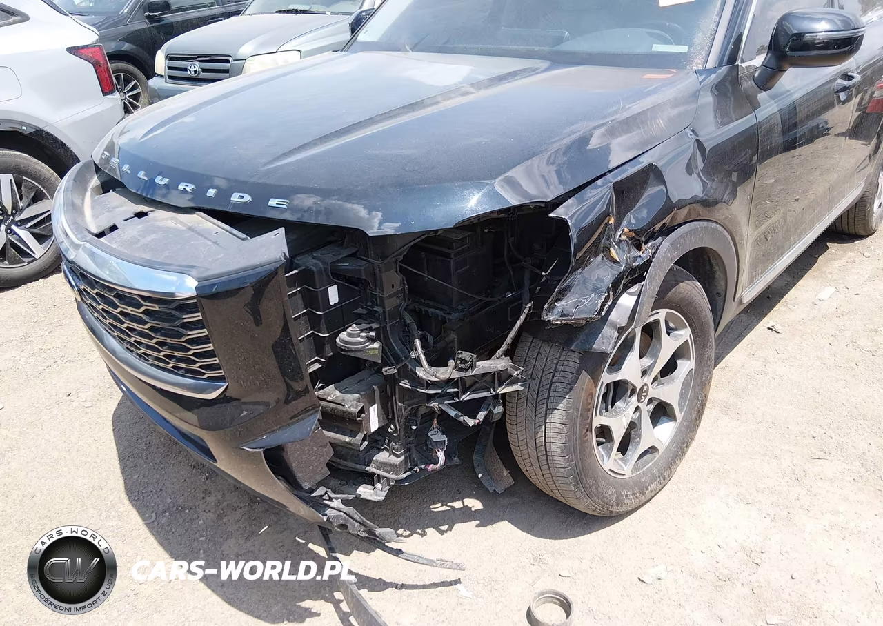 2021 Kia Telluride Ex VIN:5XYP34HCXMG125809 - 6