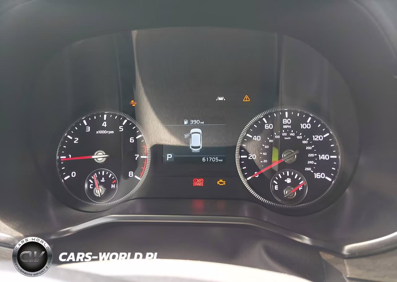2021 Kia Telluride Ex VIN:5XYP34HCXMG125809 - 7