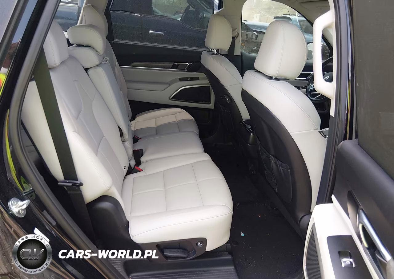2021 Kia Telluride Ex VIN:5XYP34HCXMG125809 - 8