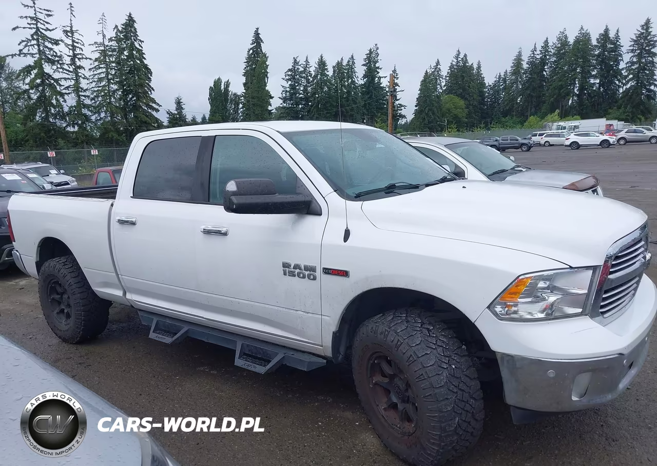 2016 Ram 1500 Big Horn VIN:1C6RR7TM4GS251386 - 13