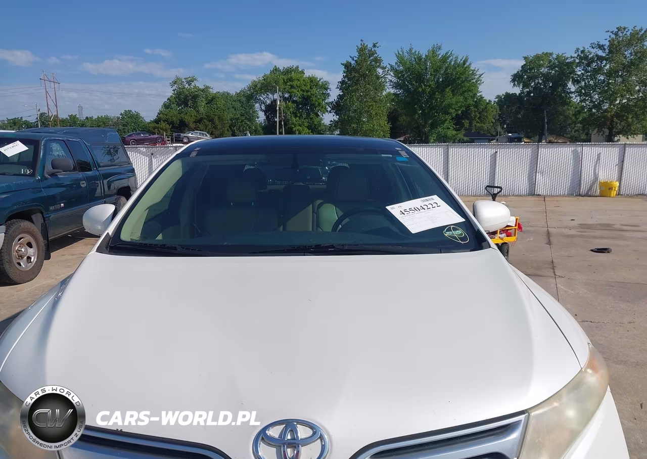 2009 Toyota Venza VIN:4T3ZE11A39U013050 - 6