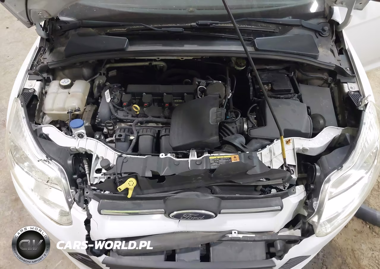 2013 Ford Focus S VIN:1FADP3E27DL275819 - 10