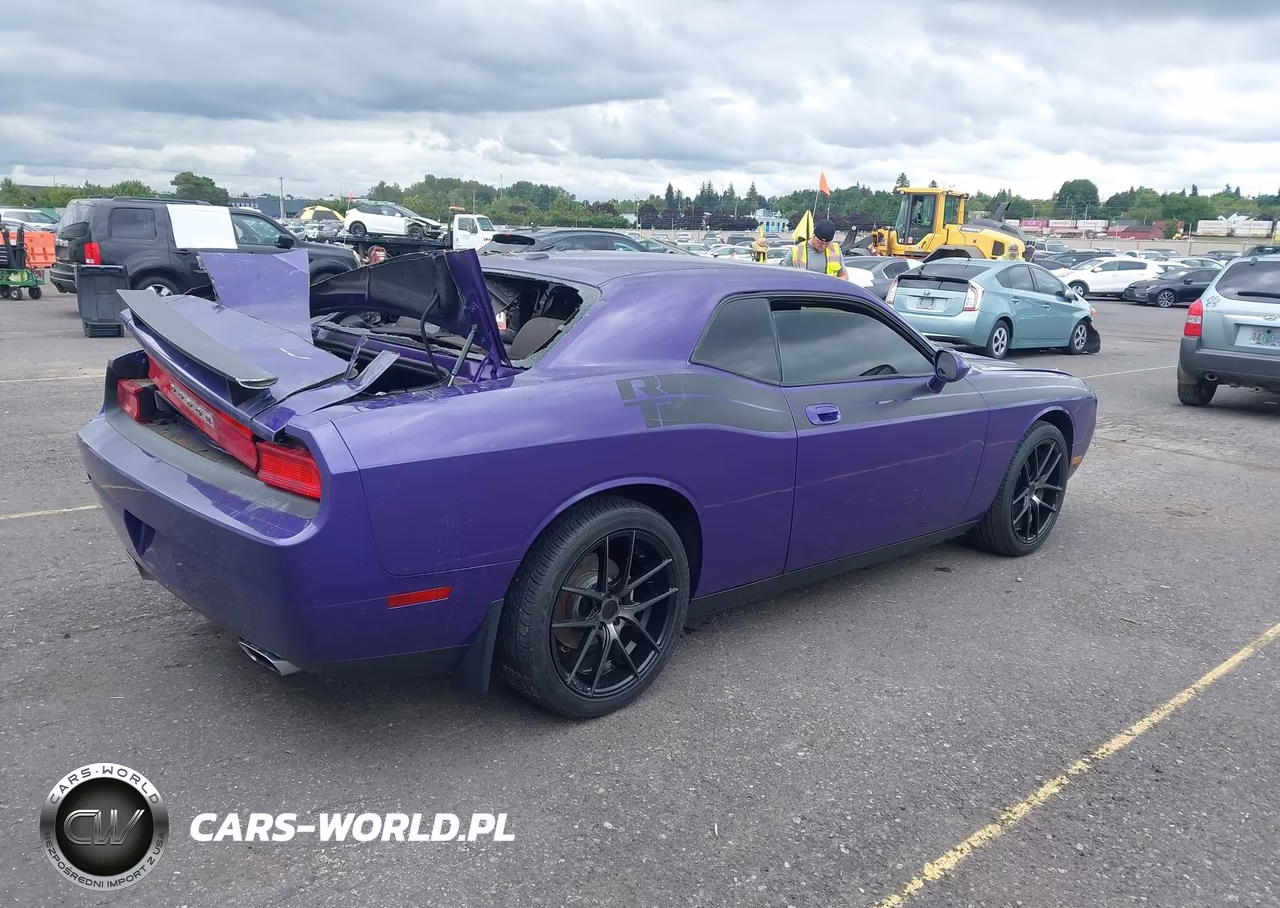 2010 Dodge Challenger R-T Classic VIN:2B3CJ5DT4AH190525 - 4