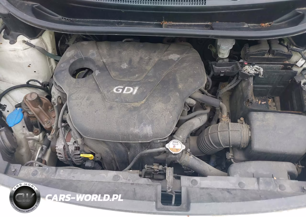 2013 Kia Rio Lx VIN:KNADM5A34D6295082 - 10