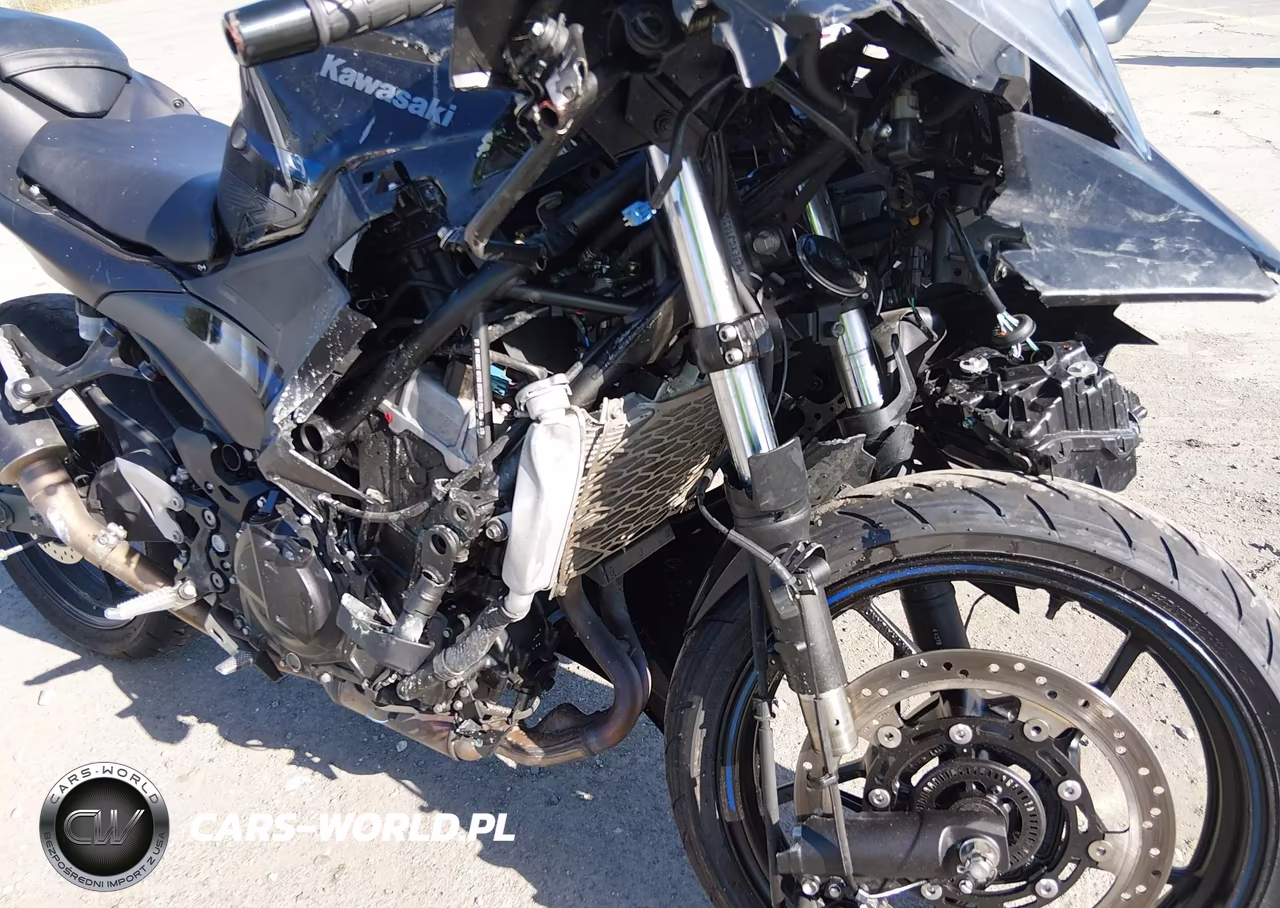 2025 Kawasaki Ex500 A-B VIN:ML5EXGJ16SDA49553 - 15