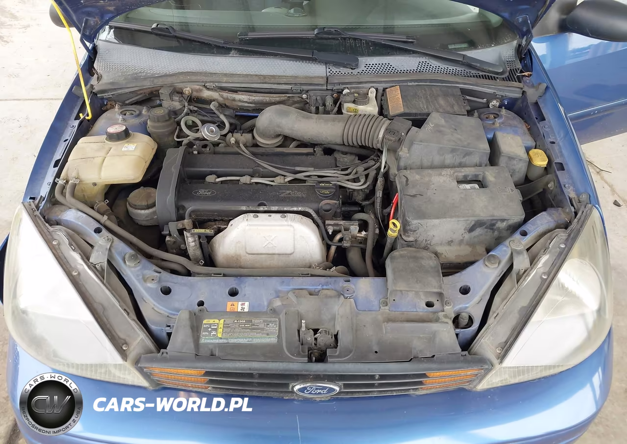 2003 Ford Focus Zx5-Zx5 Comfort VIN:3FAFP37393R132319 - 10