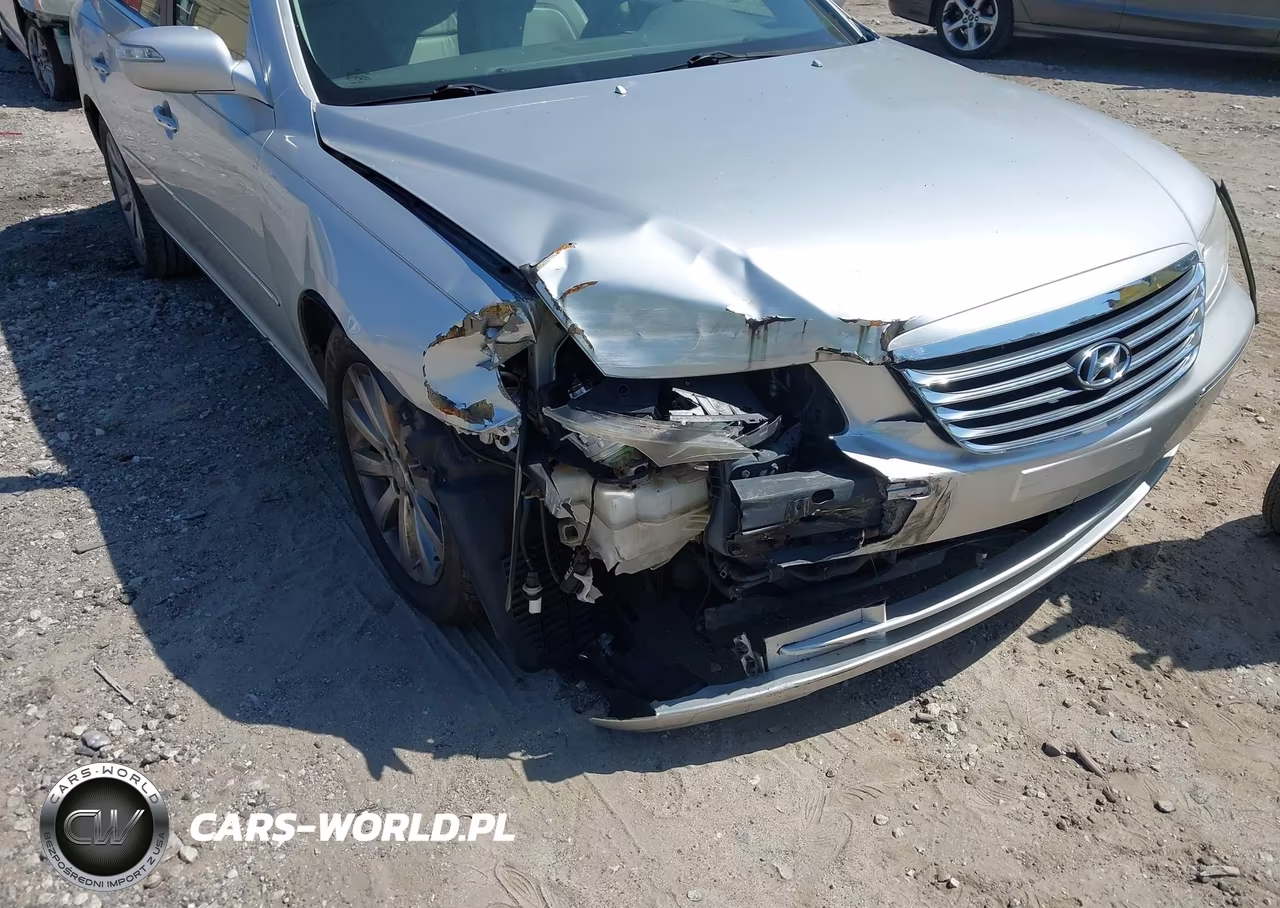 2009 Hyundai Azera Limited VIN:KMHFC46F19A339986 - 6