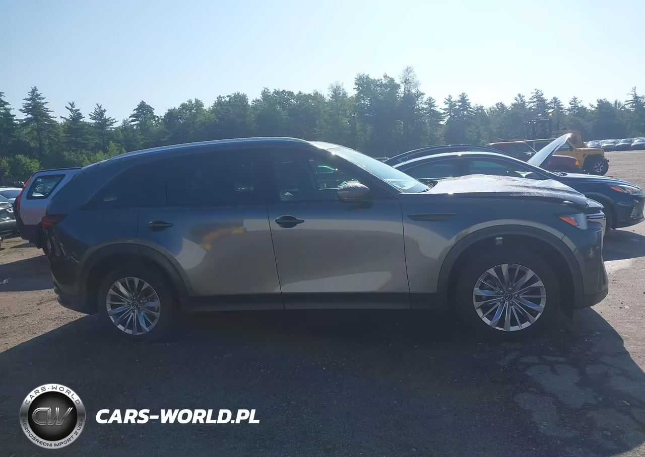 2024 Mazda Cx-90 3.3 Turbo Preferred VIN:JM3KKBHD0R1153966 - 13
