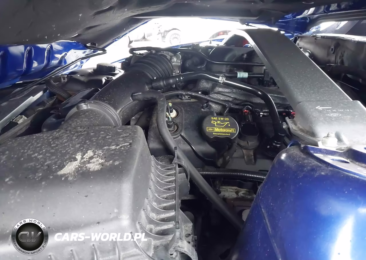 2014 Ford Mustang V6 VIN:1ZVBP8EM5E5224743 - 10