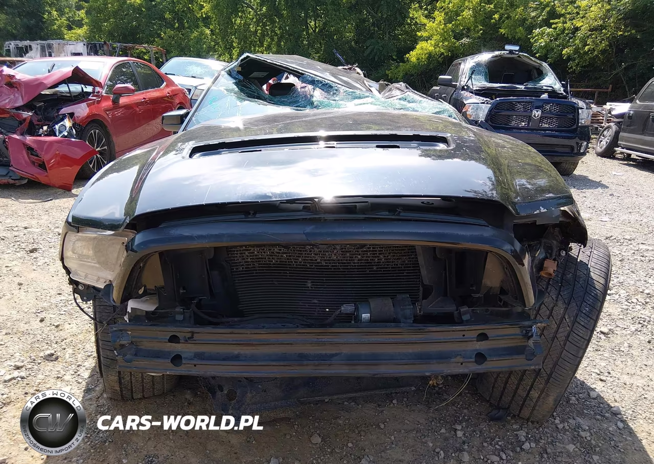 2011 Ford Shelby Gt500 VIN:1ZVBP8JS9B5155829 - 13