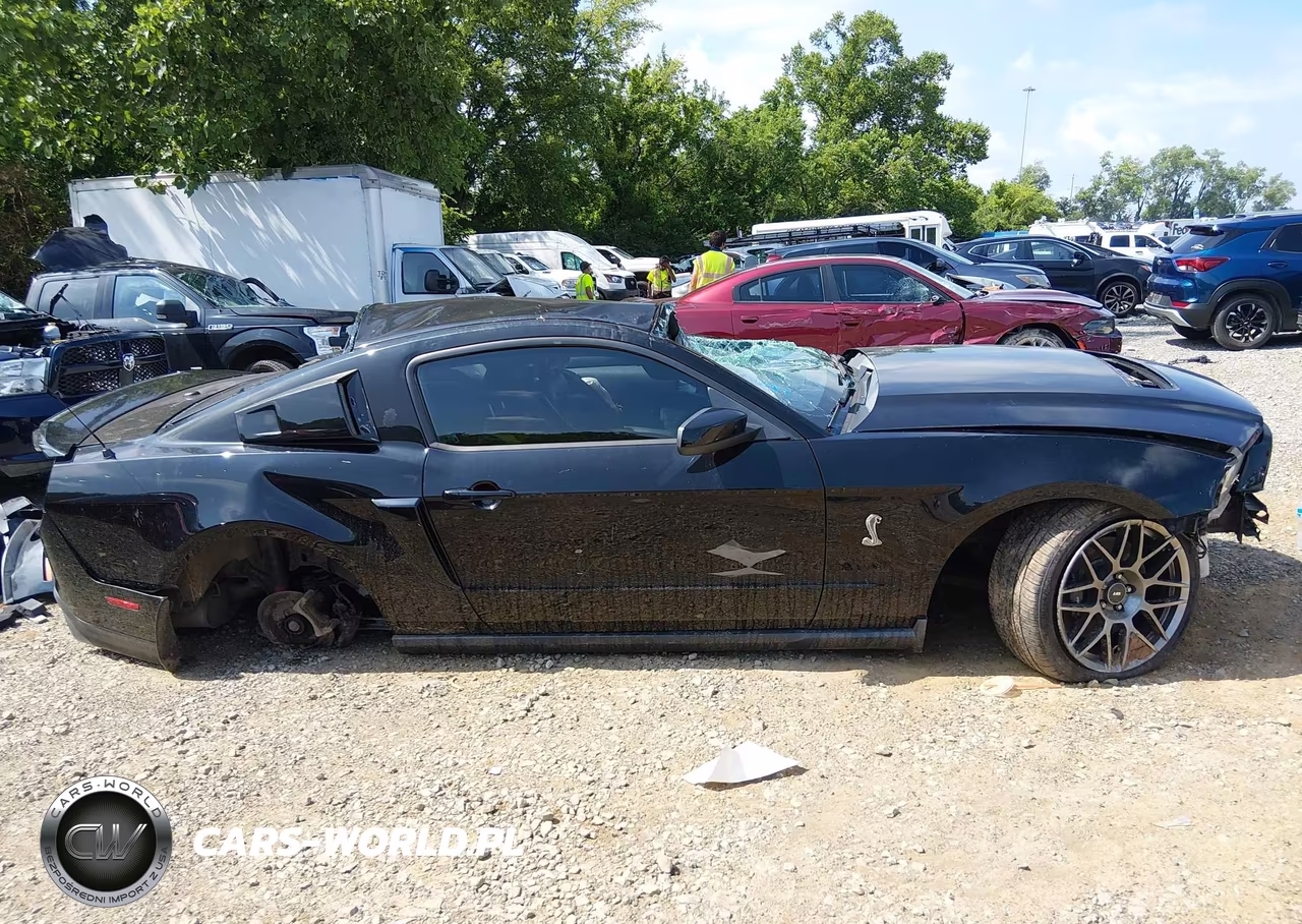 2011 Ford Shelby Gt500 VIN:1ZVBP8JS9B5155829 - 14