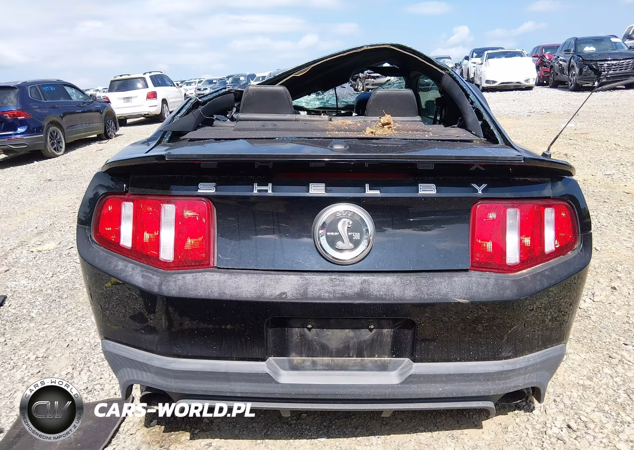 2011 Ford Shelby Gt500 VIN:1ZVBP8JS9B5155829 - 17