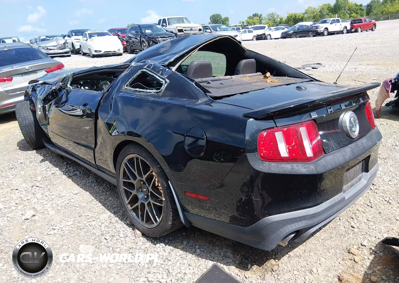 2011 Ford Shelby Gt500 VIN:1ZVBP8JS9B5155829 - 3