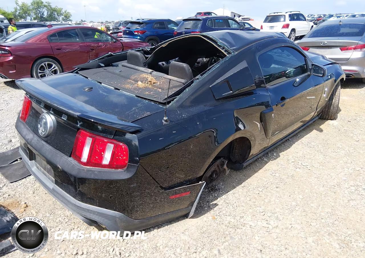2011 Ford Shelby Gt500 VIN:1ZVBP8JS9B5155829 - 4