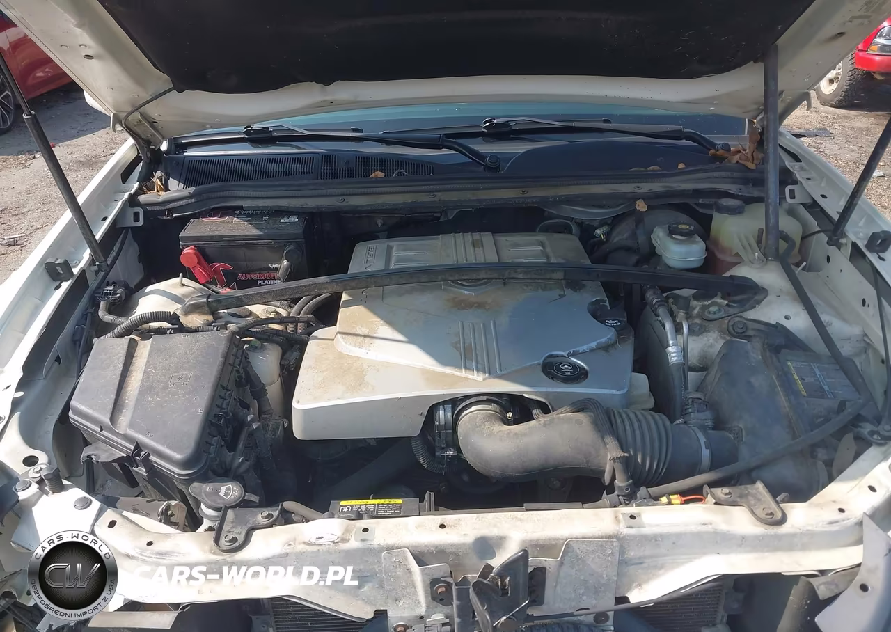 2004 Cadillac Srx Standard VIN:1GYEE637X40188982 - 10