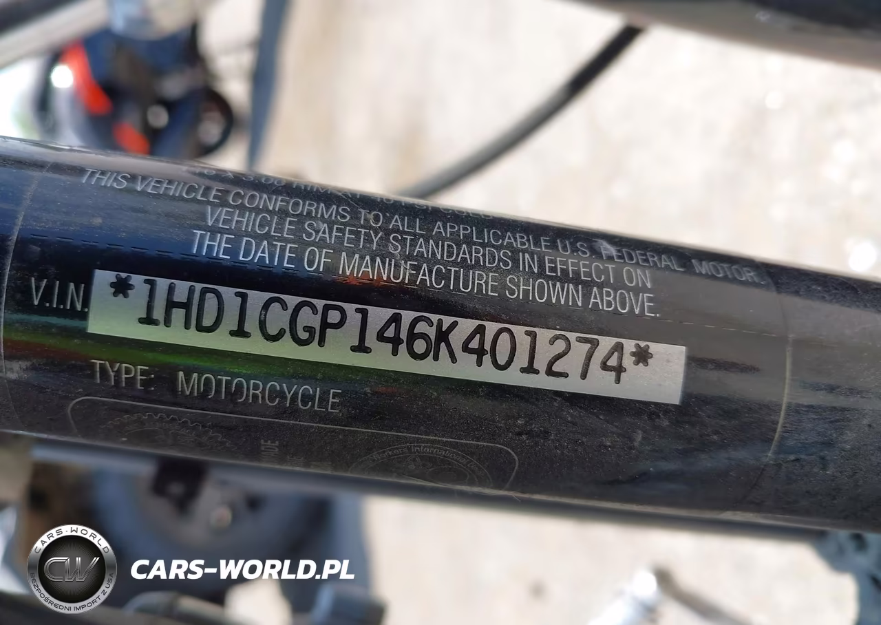 2006 Harley-Davidson Xl1200 C VIN:1HD1CGP146K401274 - 10