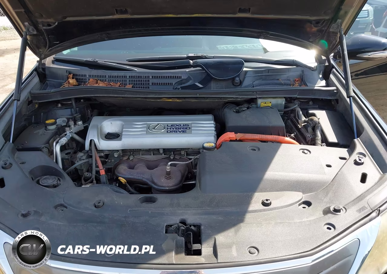 2010 Lexus Hs 250H Premium VIN:JTHBB1BA9A2034487 - 10