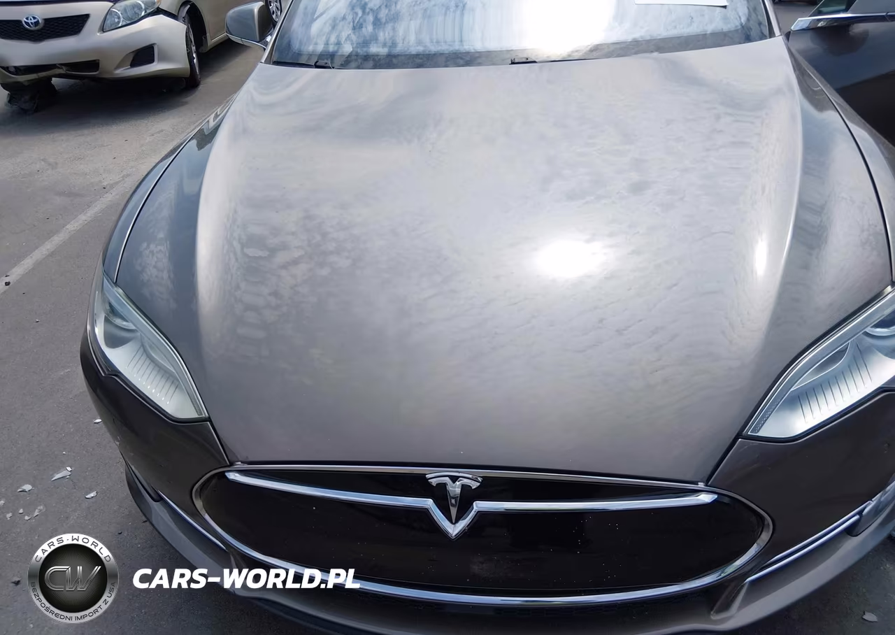 2016 Tesla Model S 60D-70D-75D-85D-90D VIN:5YJSA1E25GF122368 - 10