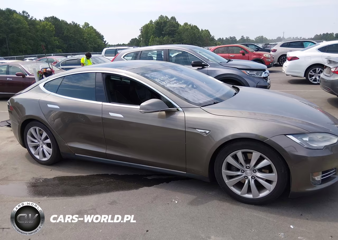 2016 Tesla Model S 60D-70D-75D-85D-90D VIN:5YJSA1E25GF122368 - 12