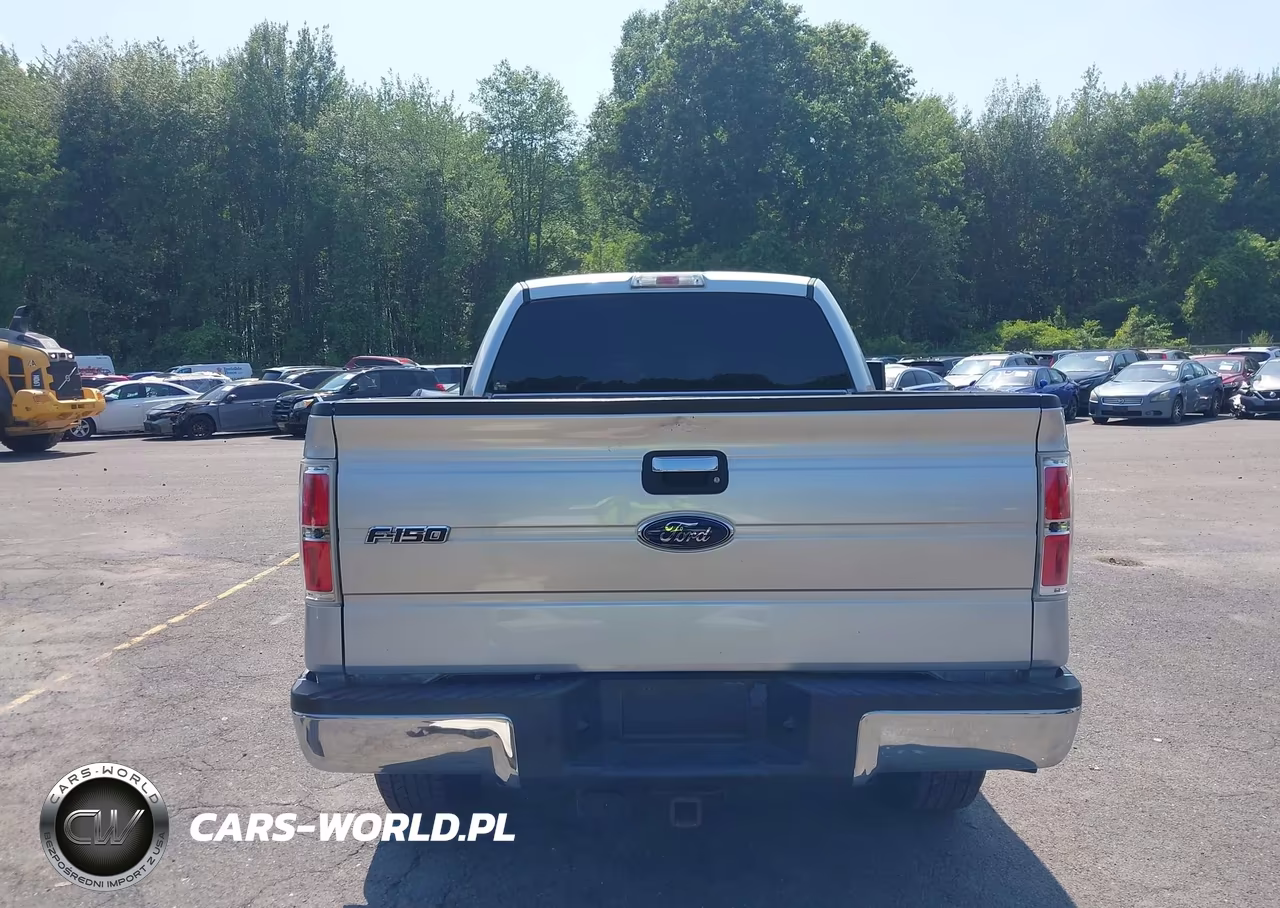 2013 Ford F-150 Fx4-King Ranch-Lariat-Limited-Platinum-Xl-Xlt VIN:1FTFW1ET7DFA00534 - 16