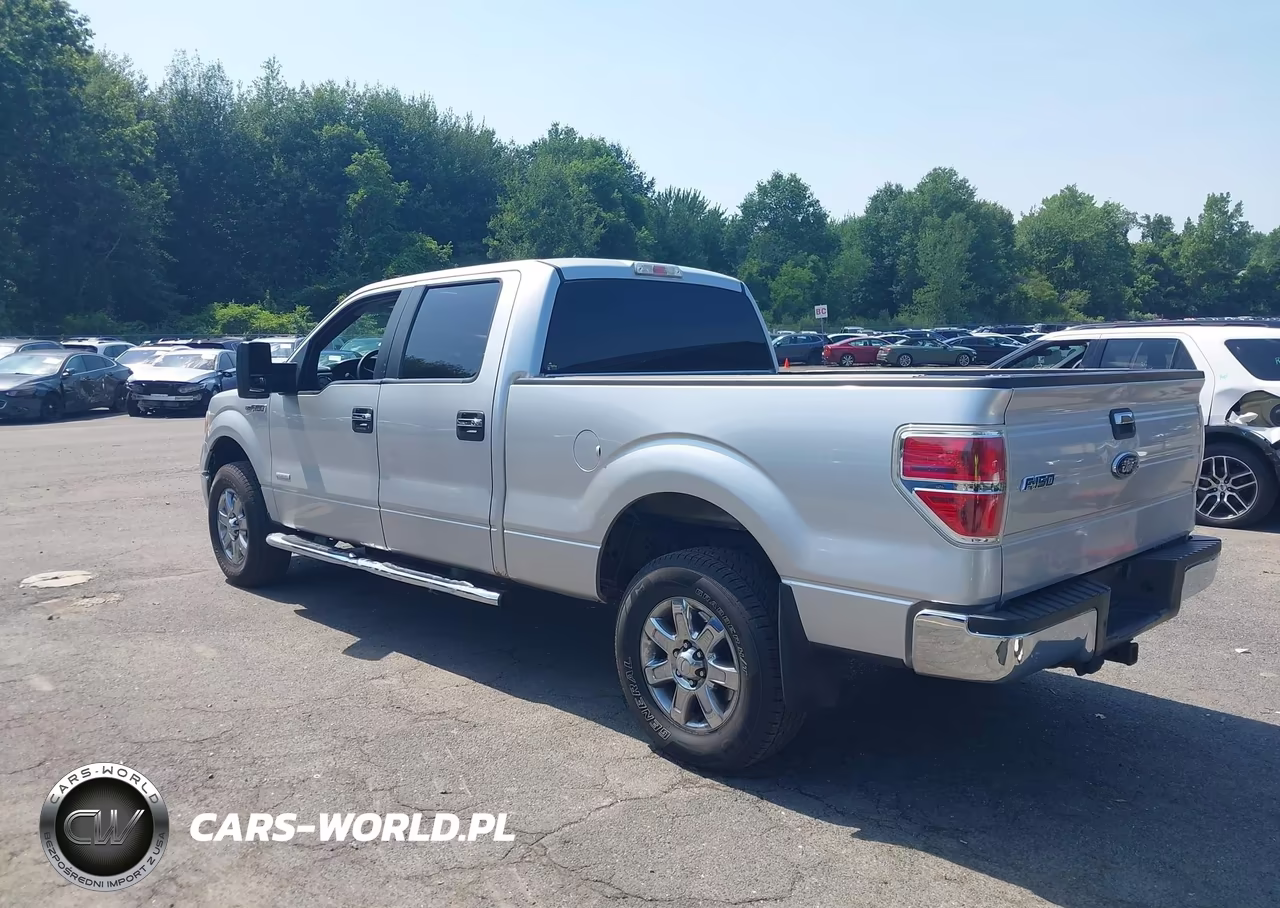 2013 Ford F-150 Fx4-King Ranch-Lariat-Limited-Platinum-Xl-Xlt VIN:1FTFW1ET7DFA00534 - 3