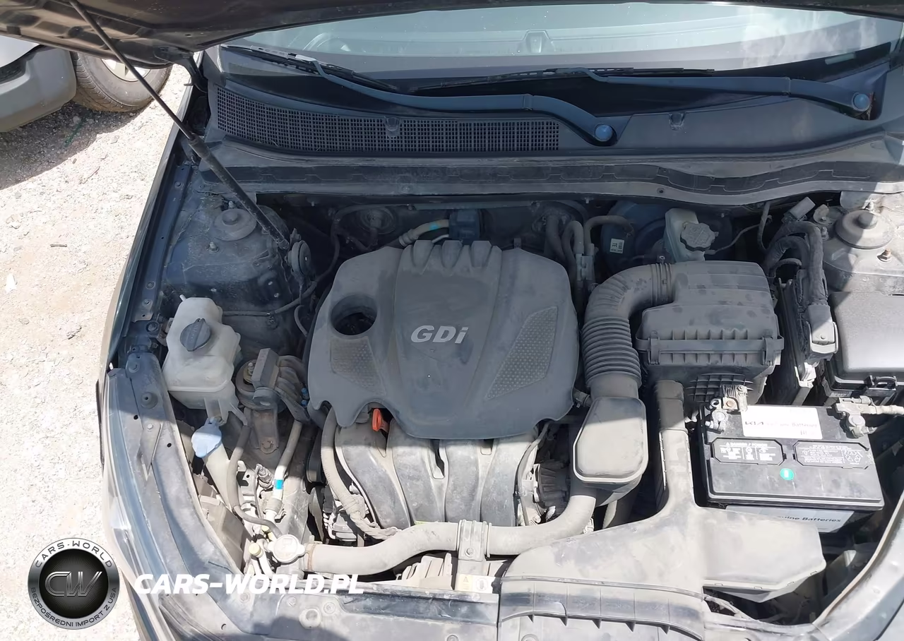 2013 Kia Optima Lx VIN:KNAGM4A75D5300029 - 10