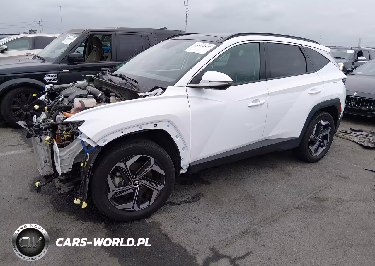 2023 Hyundai Tucson Hybrid Limited VIN:KM8JECA10PU133595 - 2