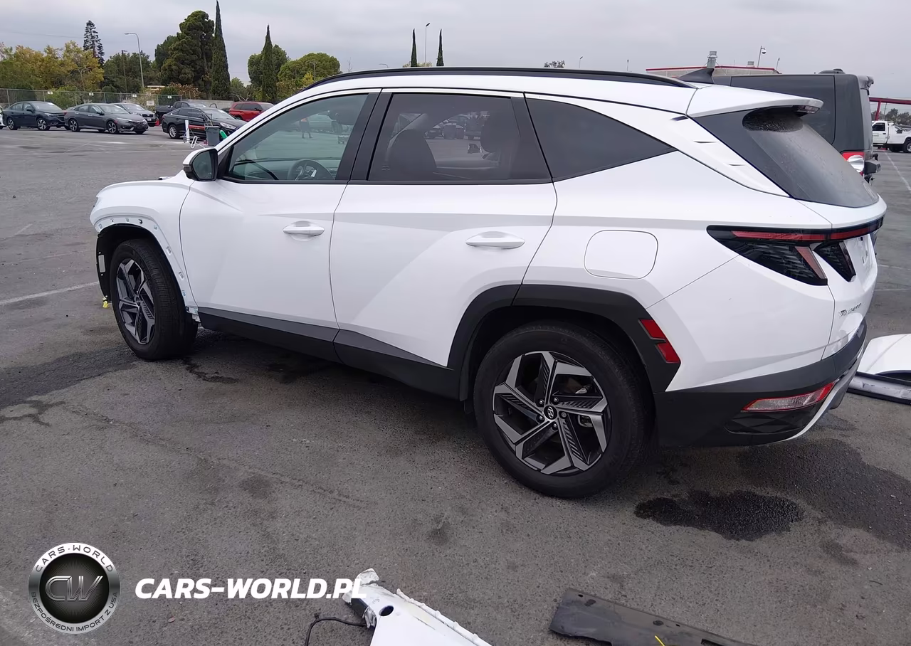 2023 Hyundai Tucson Hybrid Limited VIN:KM8JECA10PU133595 - 3