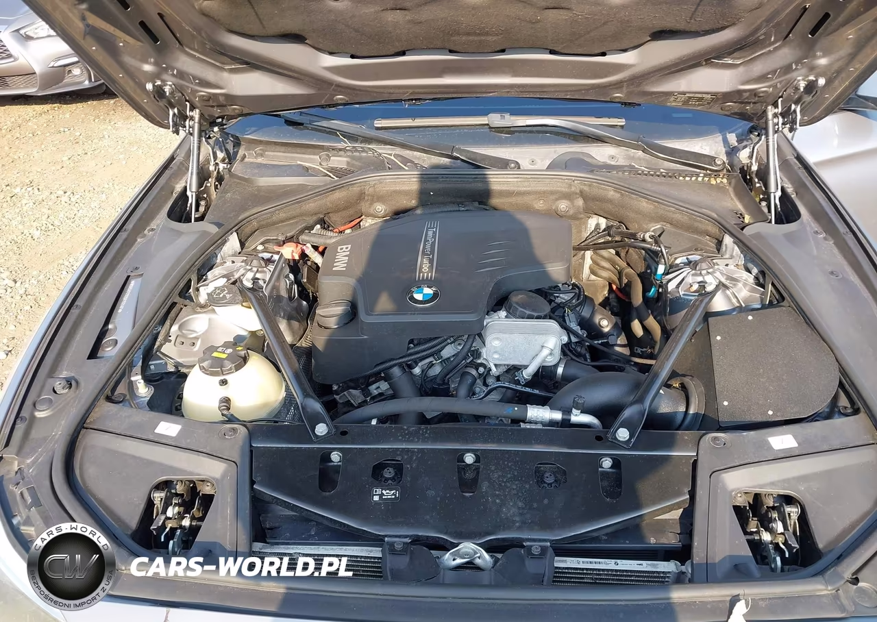 2016 BMW 528I xDrive VIN:WBA5A7C52GG152461 - 10