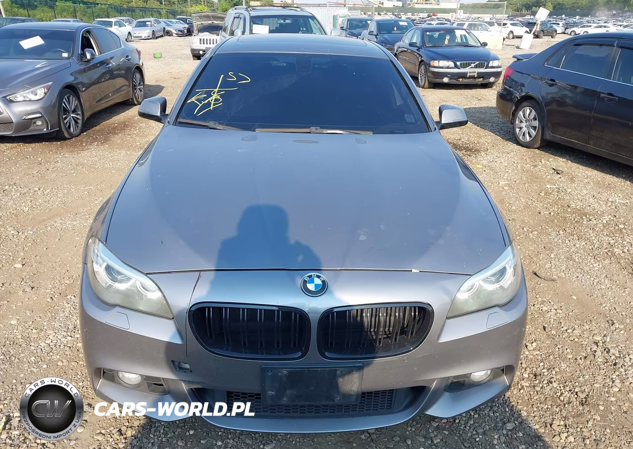 2016 BMW 528I xDrive VIN:WBA5A7C52GG152461 - 12