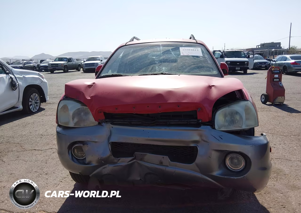 2005 Hyundai Santa Fe Gls VIN:KM8SC13D25U866735 - 13