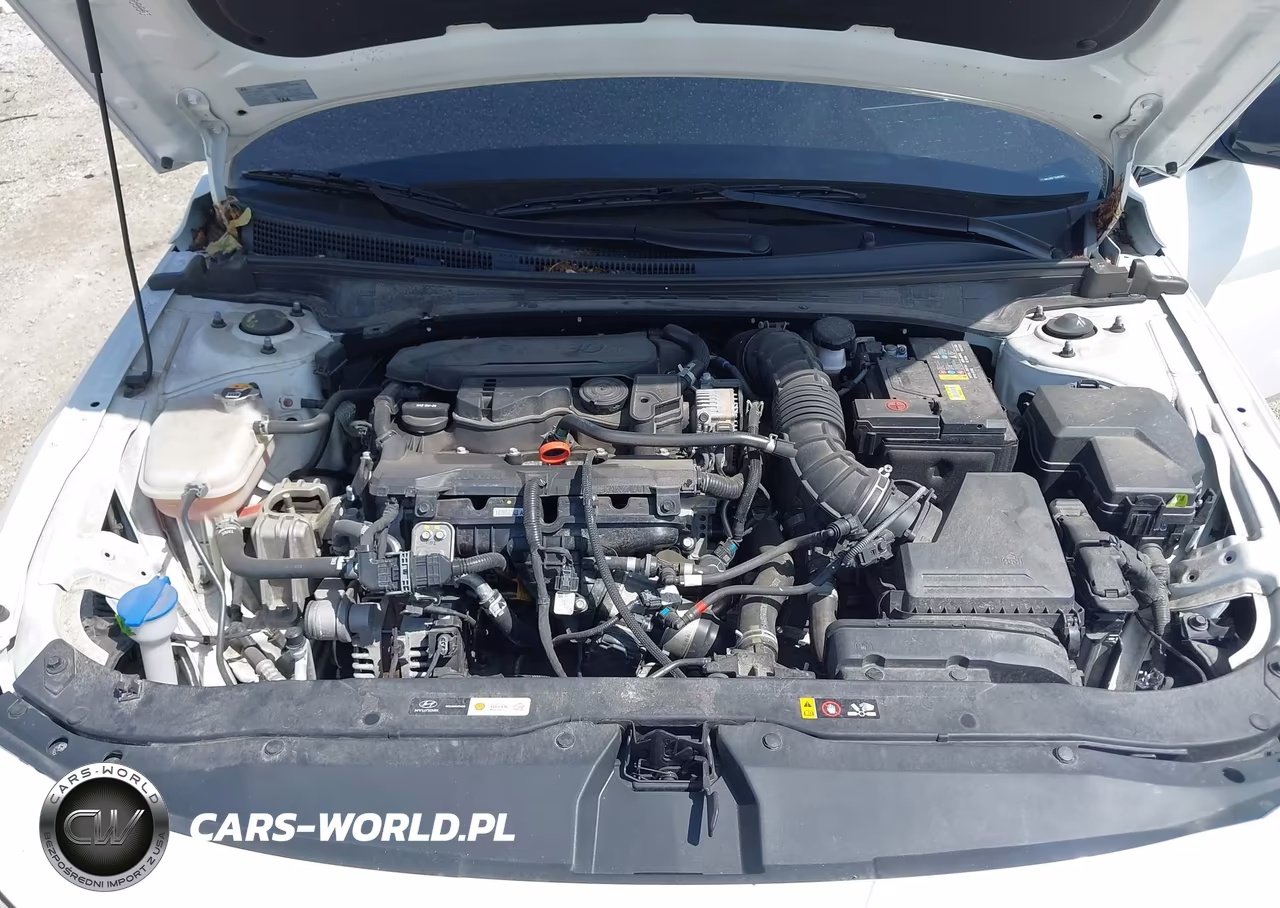 2025 Hyundai Elantra N Line VIN:KMHLR4DF7SU865869 - 10